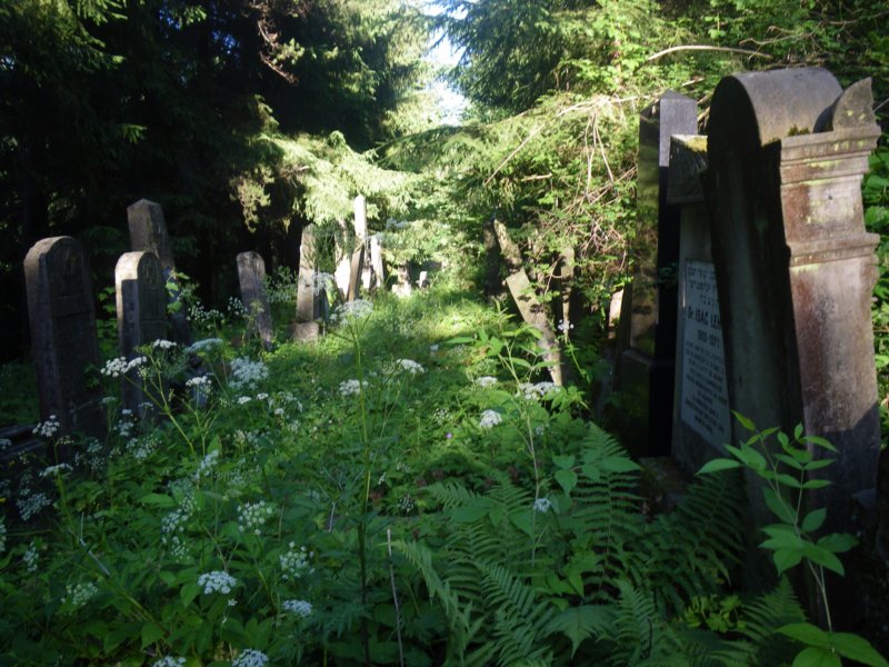 t181528_80.jpg
